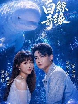 白鲸奇缘海报